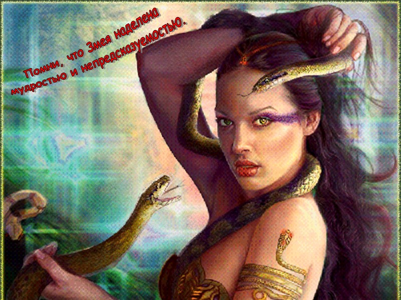 Помни, что Змея наделена  мудростью и непредсказуемостью.